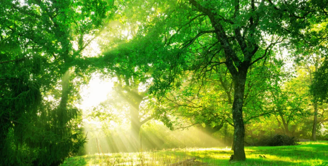 協和ハウジングのSDGs宣言