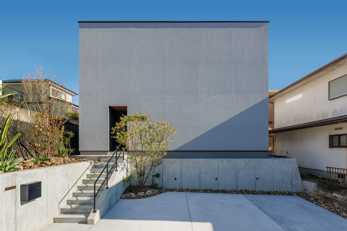 開放感とプライバシーを両立した、ギャラリーのような住まい