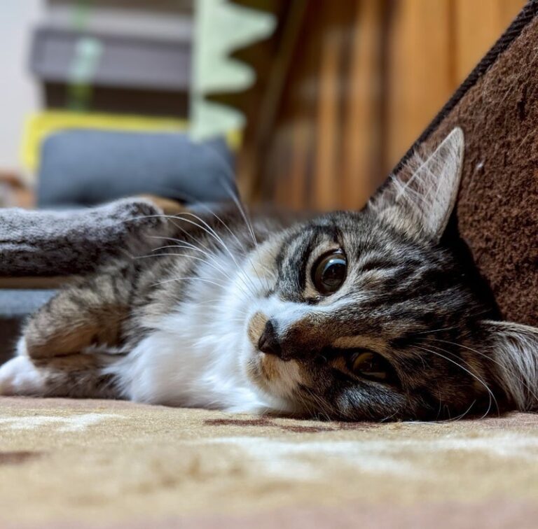 我が家のアイドル★