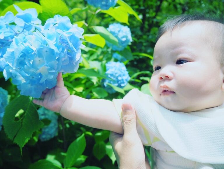 下調べの大切さ