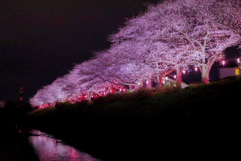 新年度【2023年度】になりました