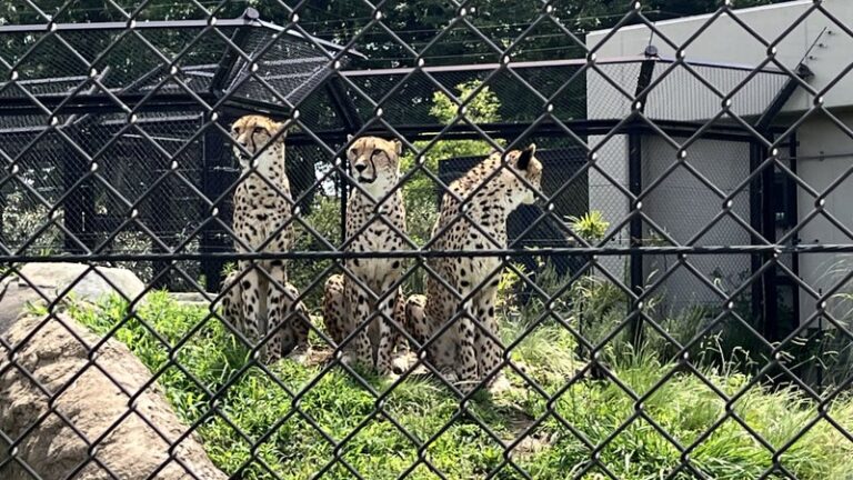 千葉市動物公園に行ってきました！