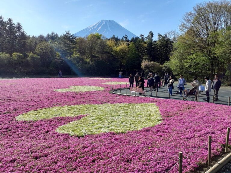 お花の見頃時期は難しいです