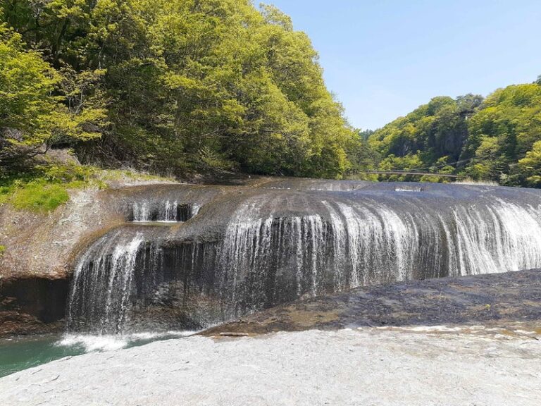 今年のお出掛け記録